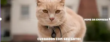 Invitación Banner Para Tiendas de Mascotas Blanco editable y personalizable