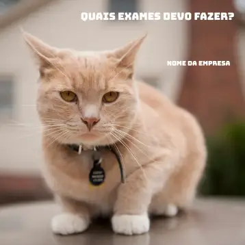 Convite Publicación Para Pet Shop para promociones y publicaciones especiales para pet shops. – tema más buscados (azul, blanco, moderno, divertido, animal, colorido)