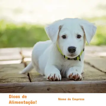 Invitación Publicación Para Pet Shop Perro editable y personalizable